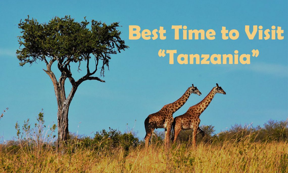 Visit Tanzania