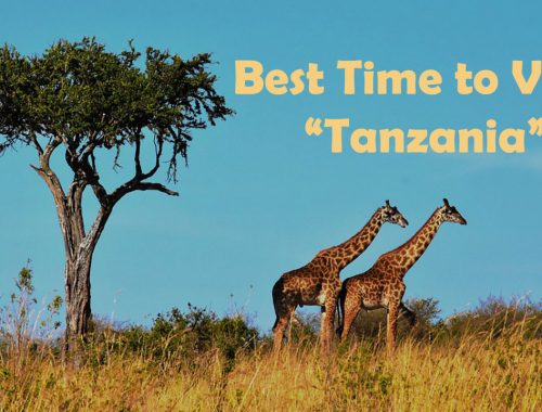 Visit Tanzania